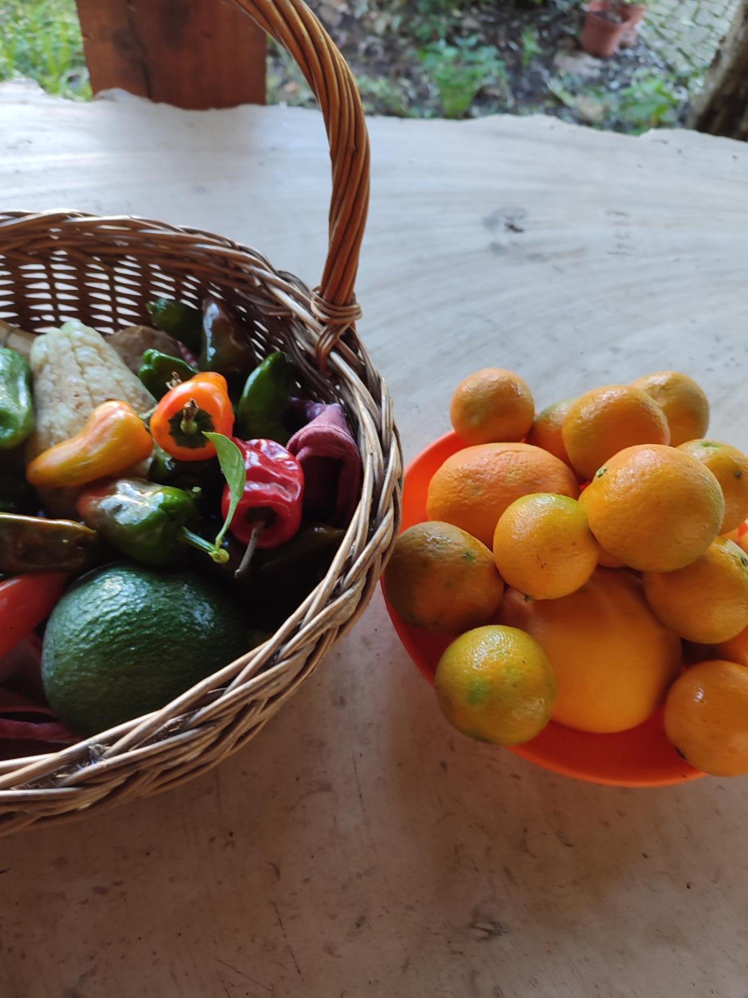 فيلا Quinta De Sao Joao Poios المظهر الخارجي الصورة