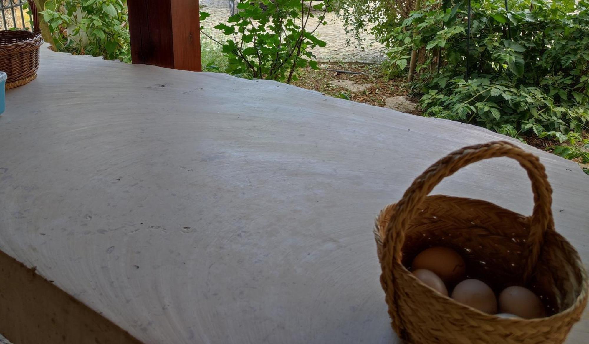 فيلا Quinta De Sao Joao Poios المظهر الخارجي الصورة