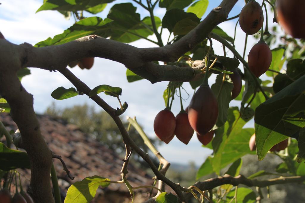فيلا Quinta De Sao Joao Poios المظهر الخارجي الصورة
