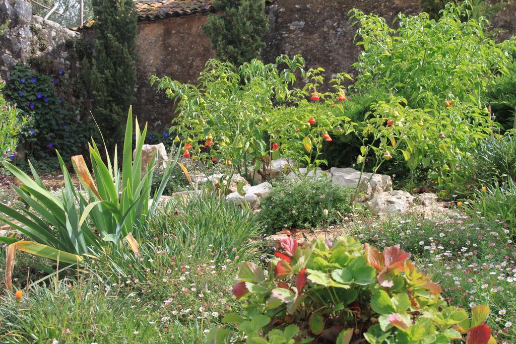 فيلا Quinta De Sao Joao Poios المظهر الخارجي الصورة