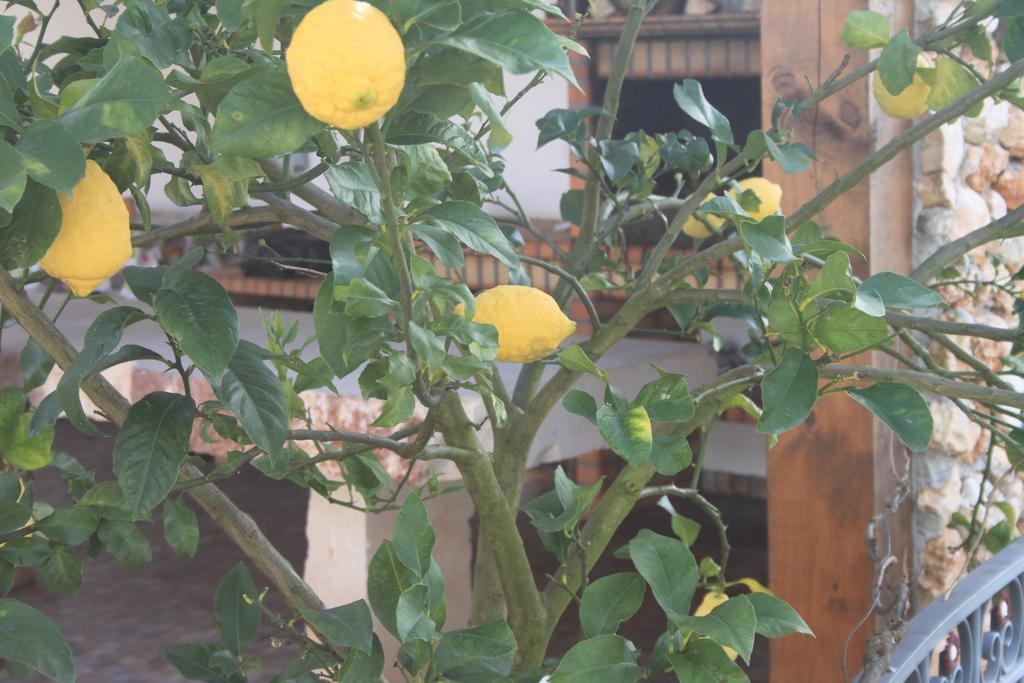 فيلا Quinta De Sao Joao Poios المظهر الخارجي الصورة