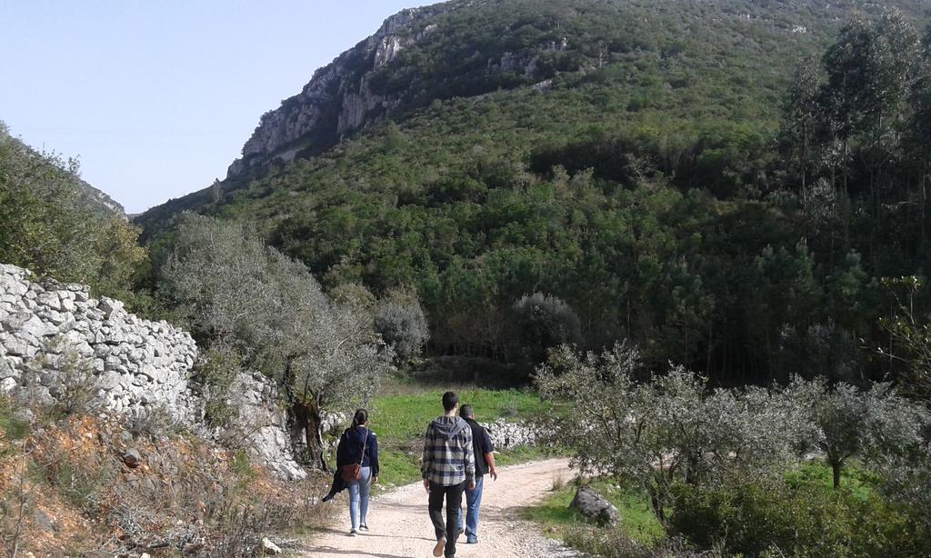 فيلا Quinta De Sao Joao Poios المظهر الخارجي الصورة