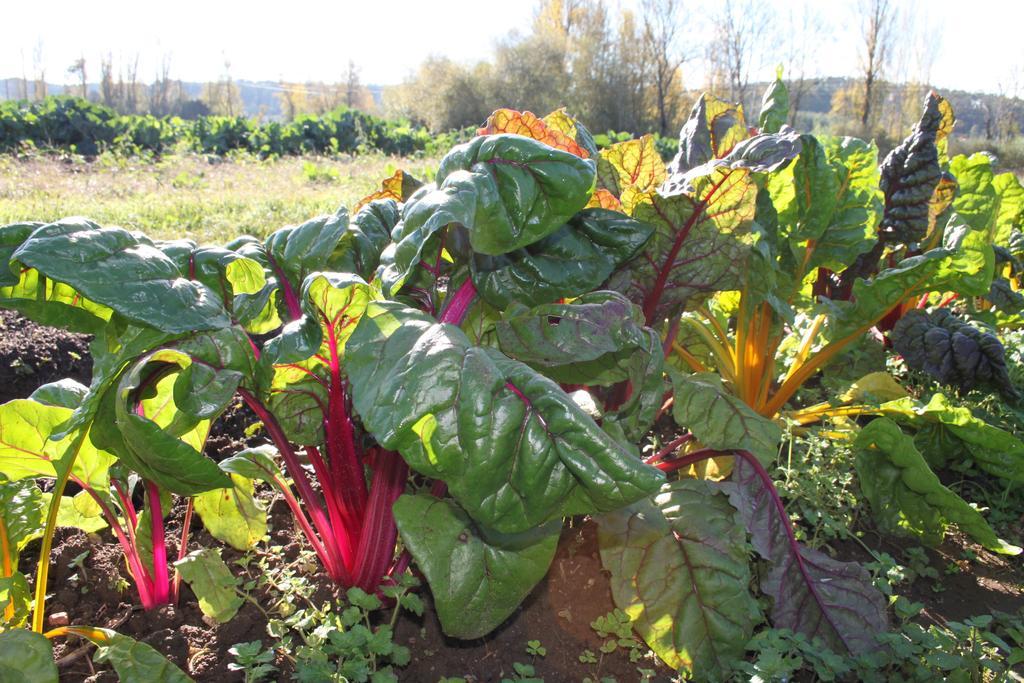 فيلا Quinta De Sao Joao Poios المظهر الخارجي الصورة