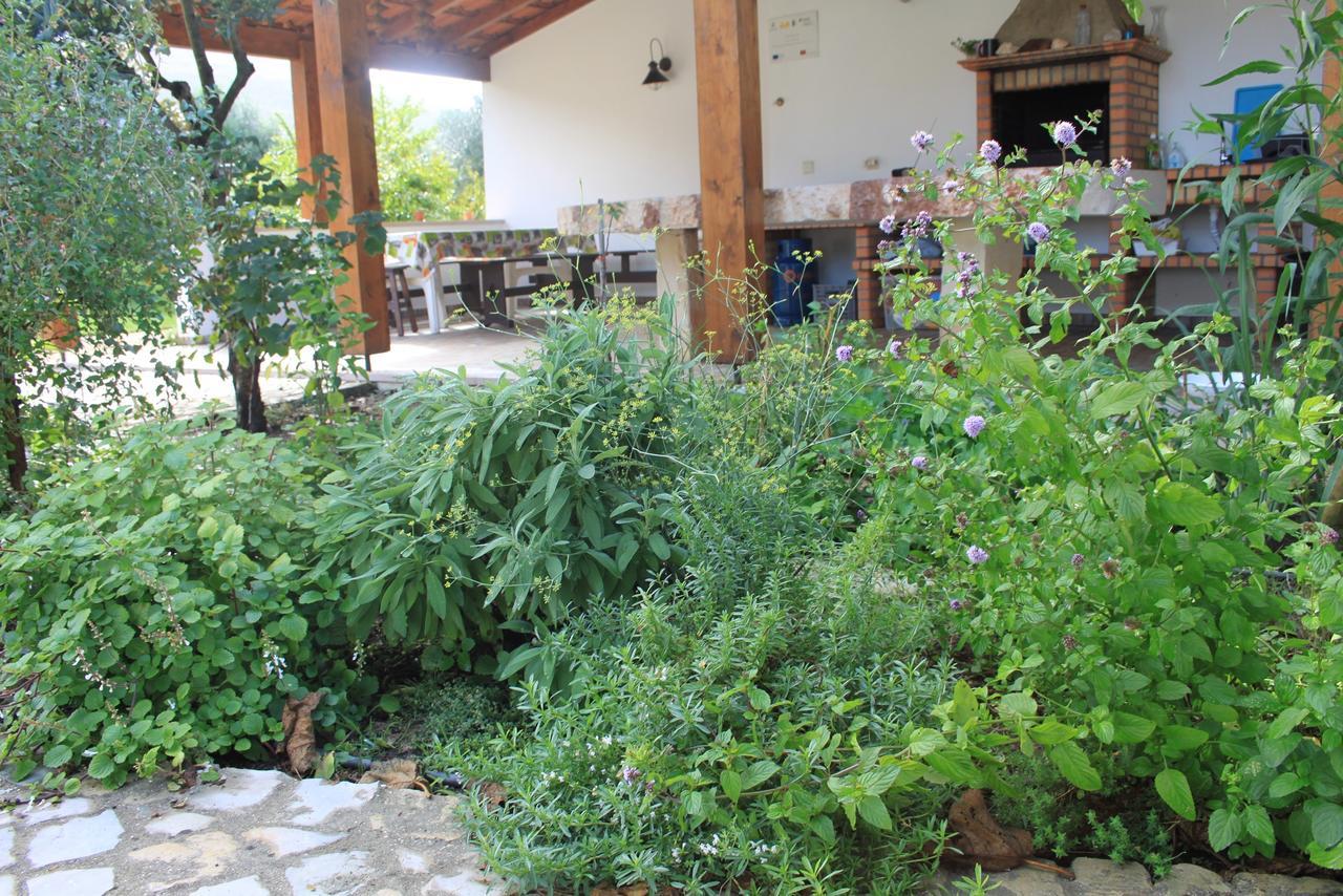 فيلا Quinta De Sao Joao Poios المظهر الخارجي الصورة