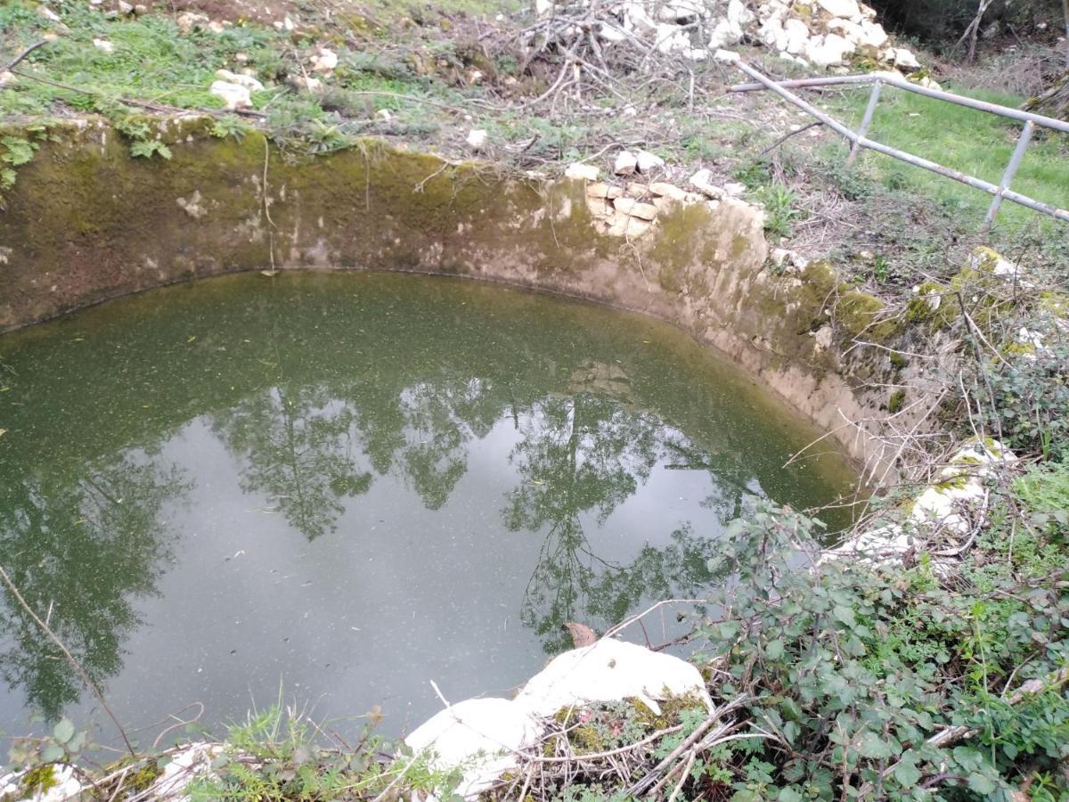 فيلا Quinta De Sao Joao Poios المظهر الخارجي الصورة