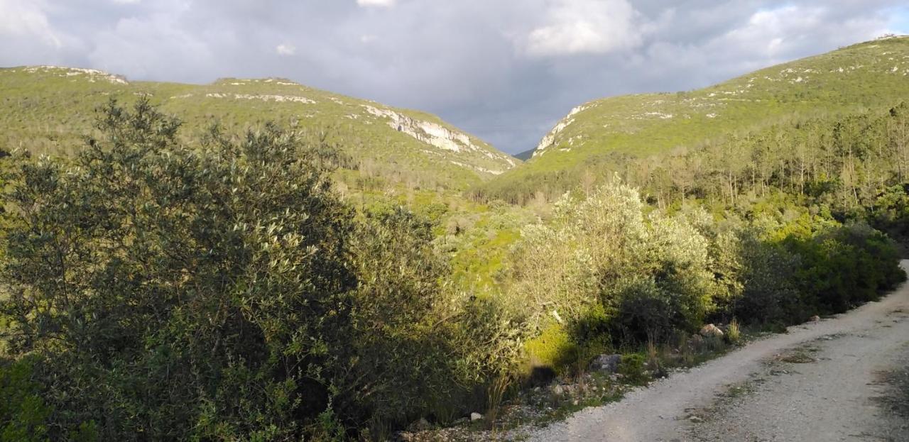 فيلا Quinta De Sao Joao Poios المظهر الخارجي الصورة